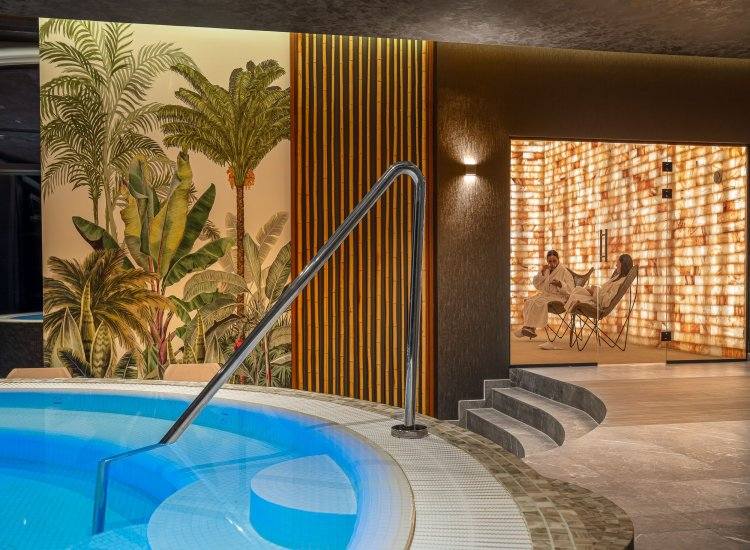Lacu Sărat-Hotel Alma Health Spa Retreat
